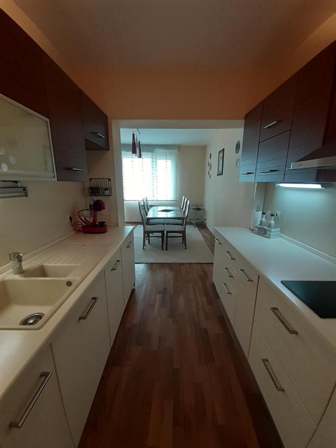 Statevi Guest Apartment 벨린그래드 외부 사진